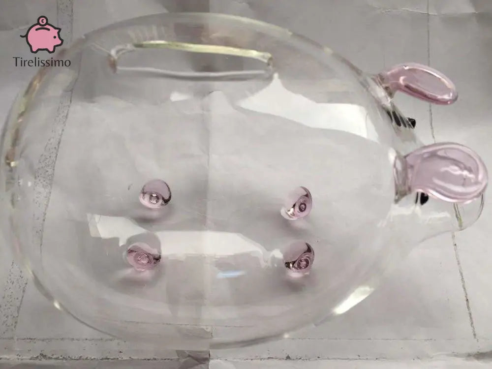 Tirelire Cochon Transparente