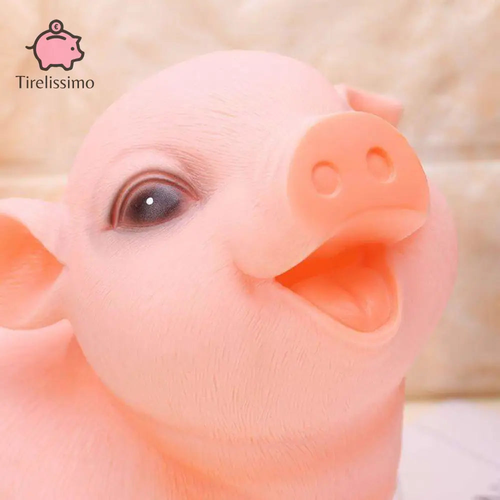 Tirelire En Forme De Cochon